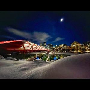 Meet your Posher, Barry